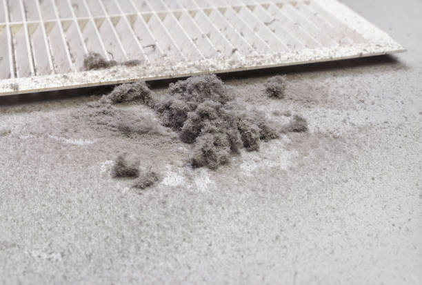 Best Best Air Duct Cleaning Company  in Pearl, MS