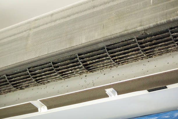 Best Ductwork Cleaning Services  in Pearl, MS
